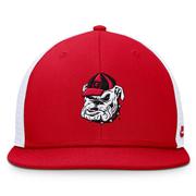 Georgia Nike Vault Dri-Fit Pro Structured Square Bill Cap