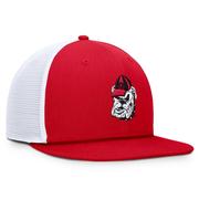 Georgia Nike Vault Dri-Fit Pro Structured Square Bill Cap