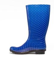 Kentucky Gameday Women's Rain Boots